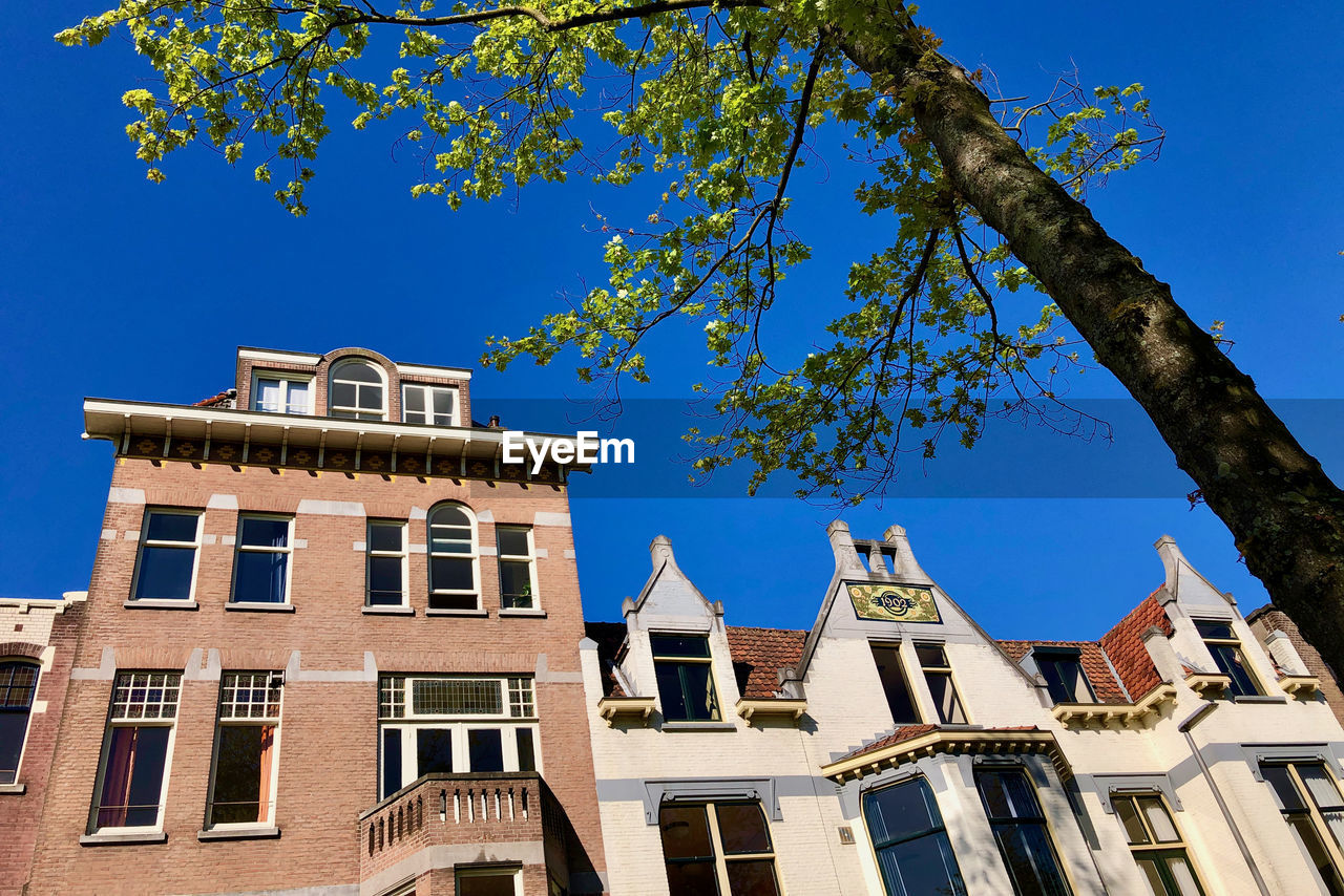 Low angle view of building and tree against clear blue sky