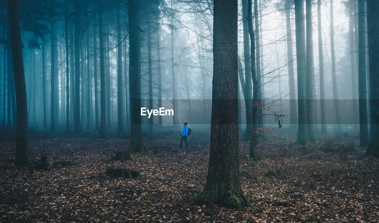 Man standing amidst trees in forest during foggy weather