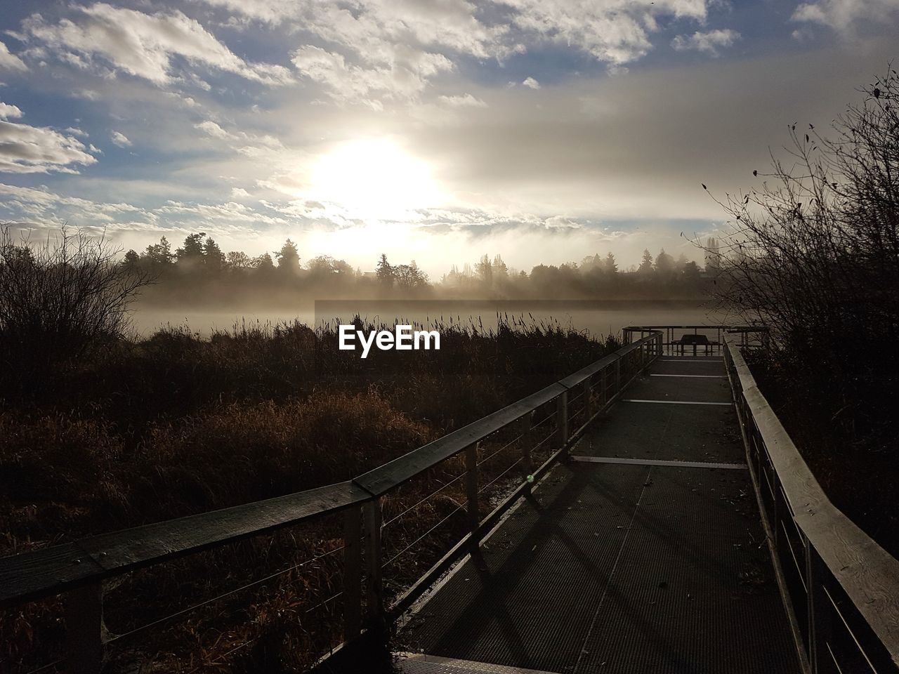 Panoramic view of trees against sky during sunset