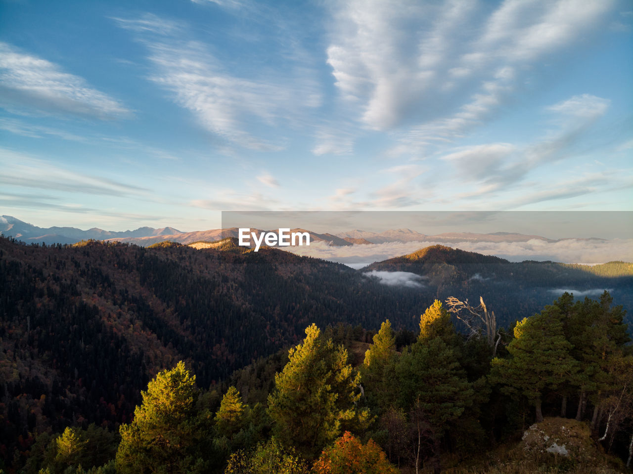 View from a drone at dawn in the mountains, aerial view through the clouds with fog