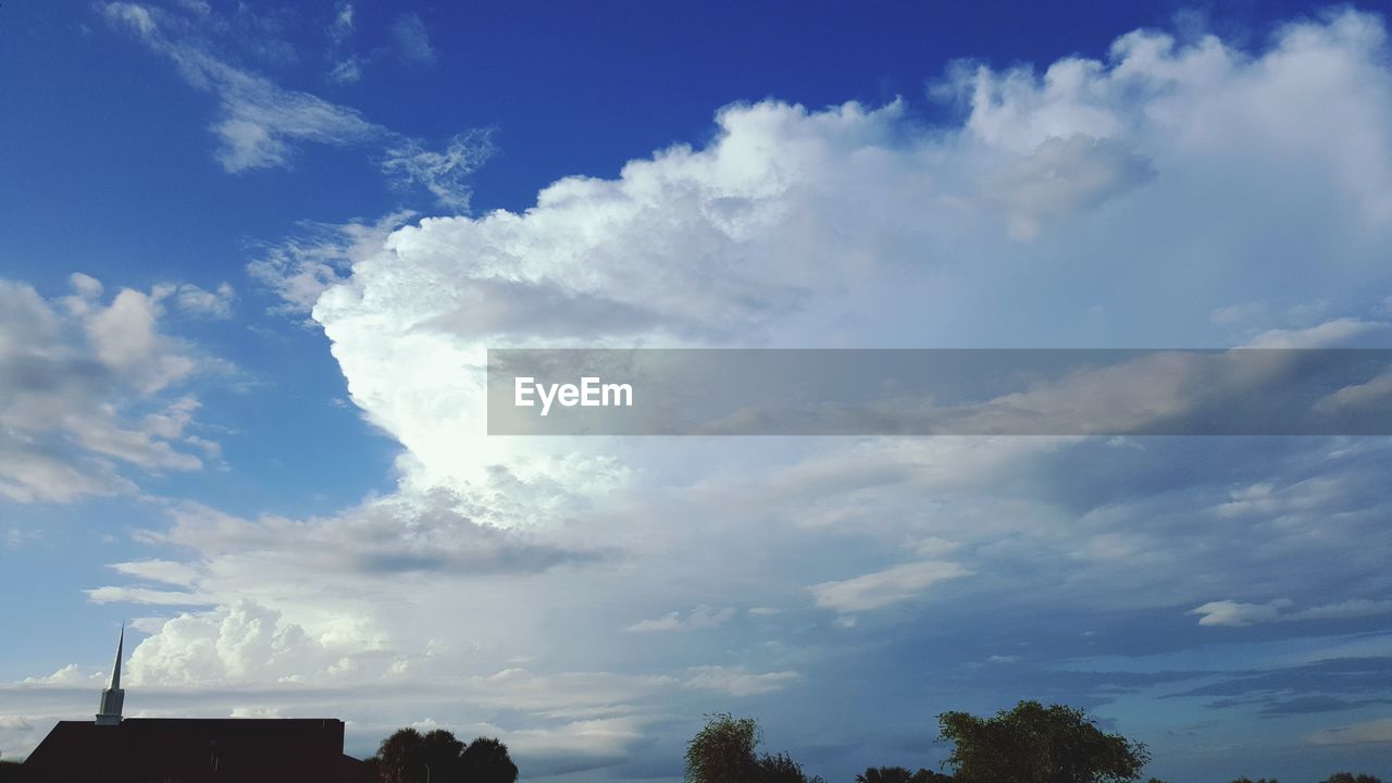 LOW ANGLE VIEW OF TREES AGAINST CLOUDY SKY