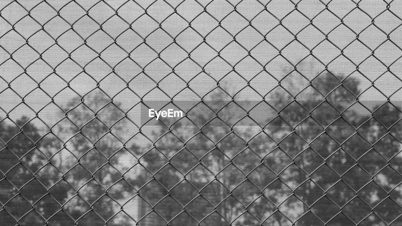 FULL FRAME SHOT OF CHAINLINK FENCE AGAINST TREES