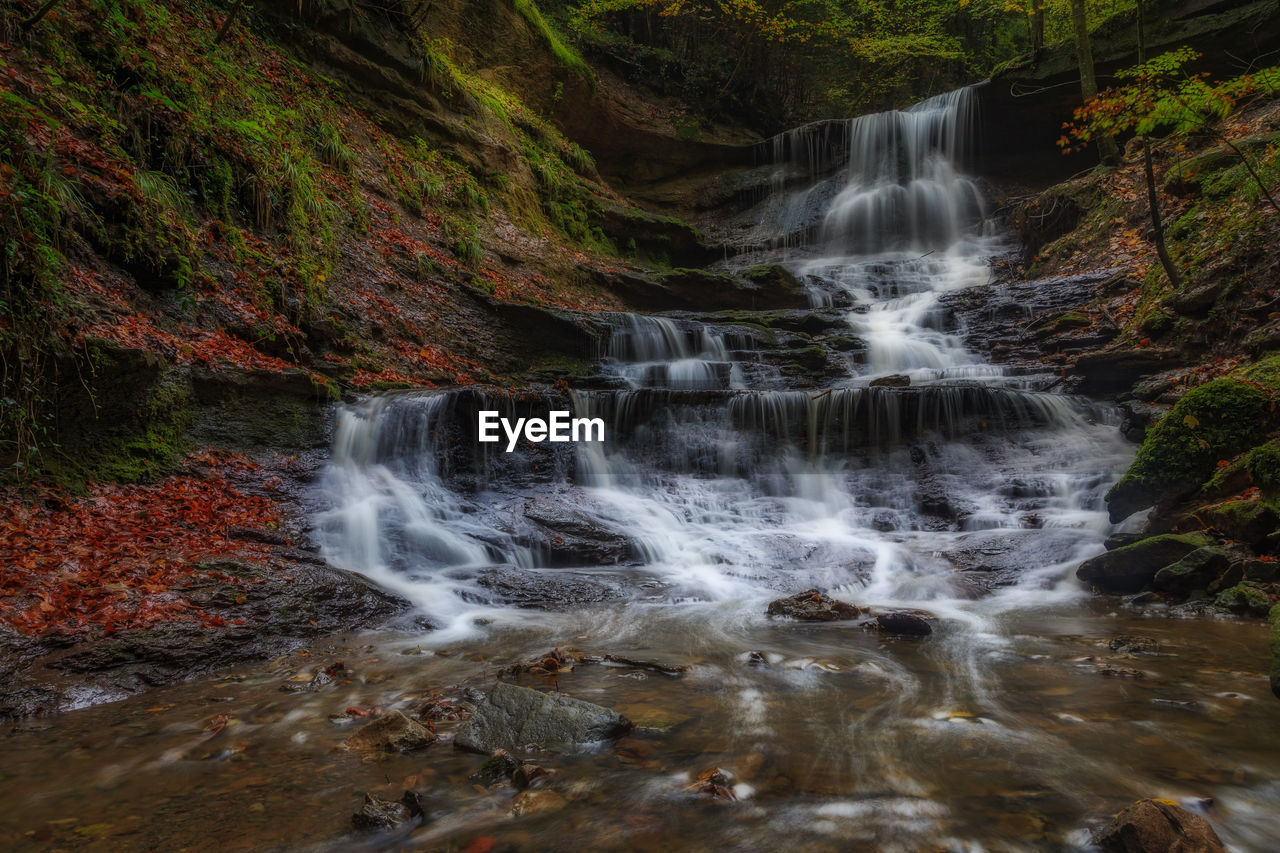 Scenic view of waterfall in forest