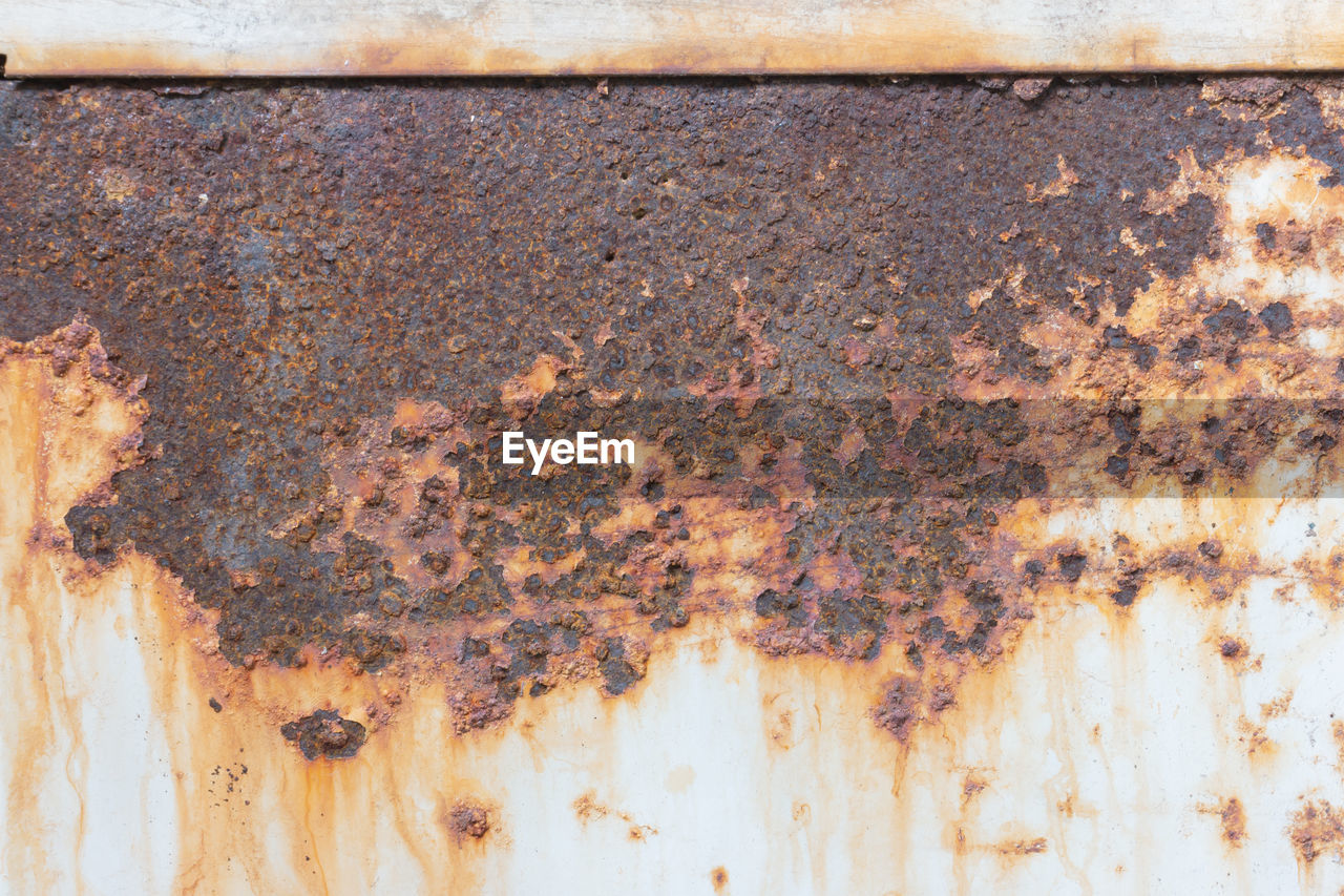 CLOSE-UP OF INSECT ON RUSTY METAL AGAINST WALL