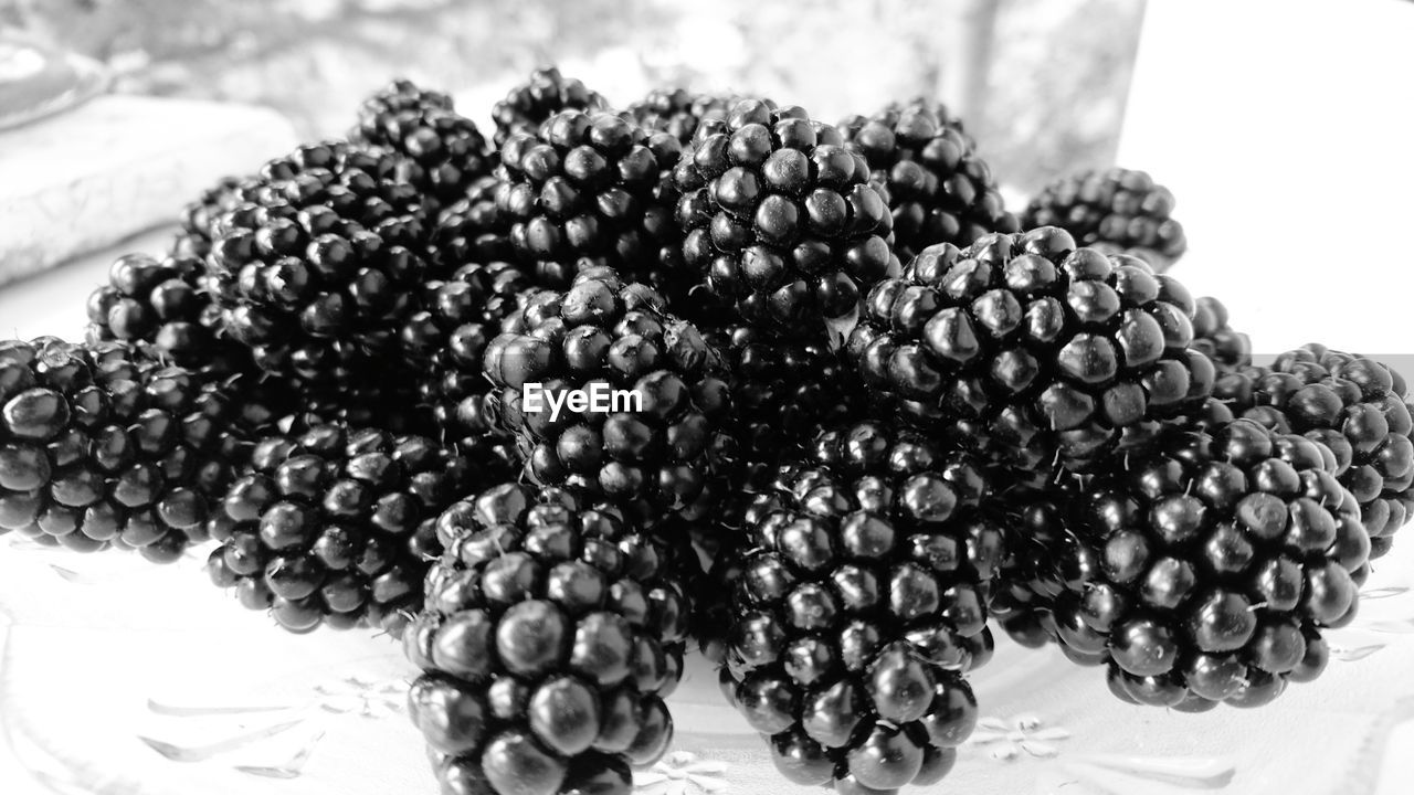 CLOSE-UP OF GRAPES IN WATER