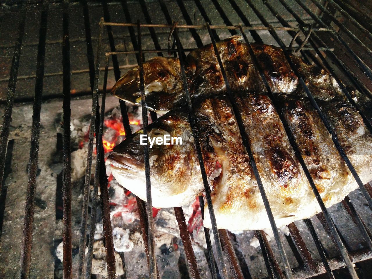 HIGH ANGLE VIEW OF FISH ON GRILL