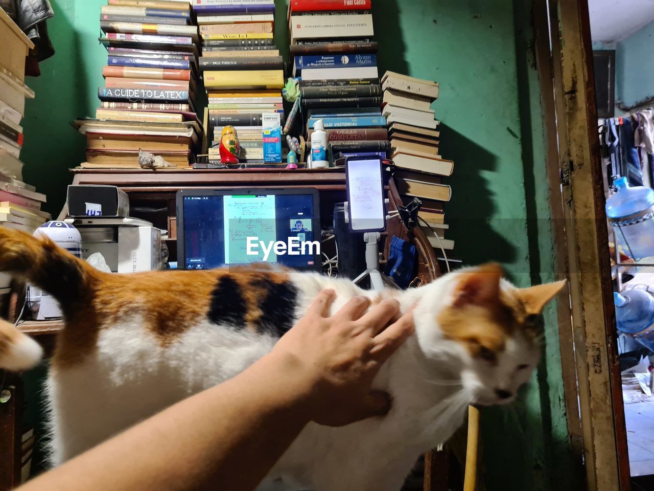 CROPPED IMAGE OF HAND ON BOOK BY BOOKS