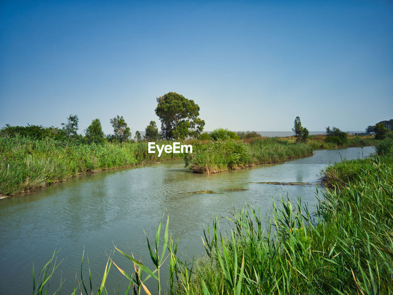 water, plant, sky, nature, grass, river, reflection, environment, landscape, natural environment, tree, wetland, beauty in nature, scenics - nature, body of water, clear sky, land, tranquility, no people, travel destinations, shore, marsh, rural area, blue, travel, green, pond, outdoors, tourism, tranquil scene, reservoir, animal wildlife, non-urban scene, day, animal, waterway, rural scene, tropical climate