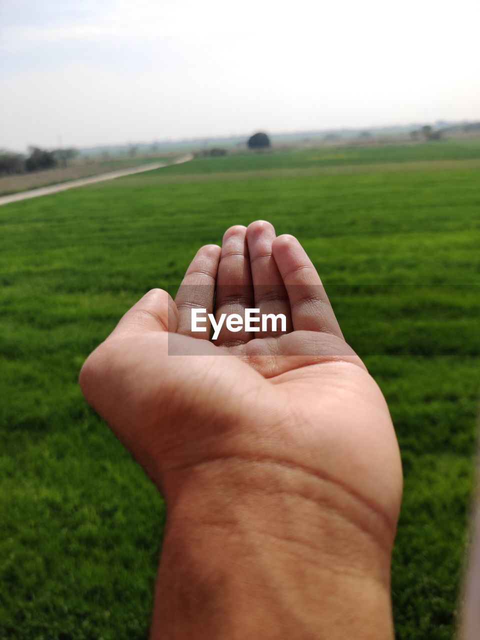 Cropped image of person hand on field