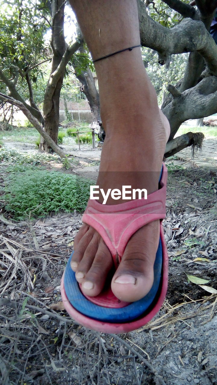 Low section of boy wearing slipper while hanging from tree