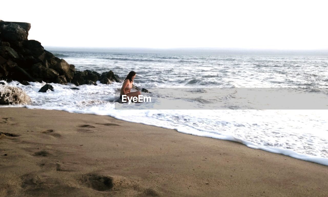 VIEW OF DOGS ON BEACH