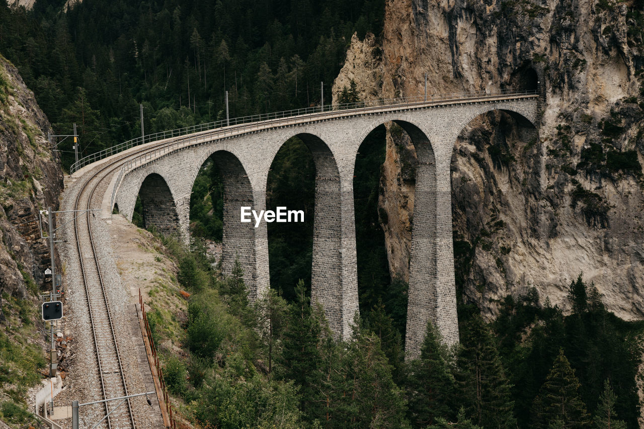 Train arch bridge amidst trees