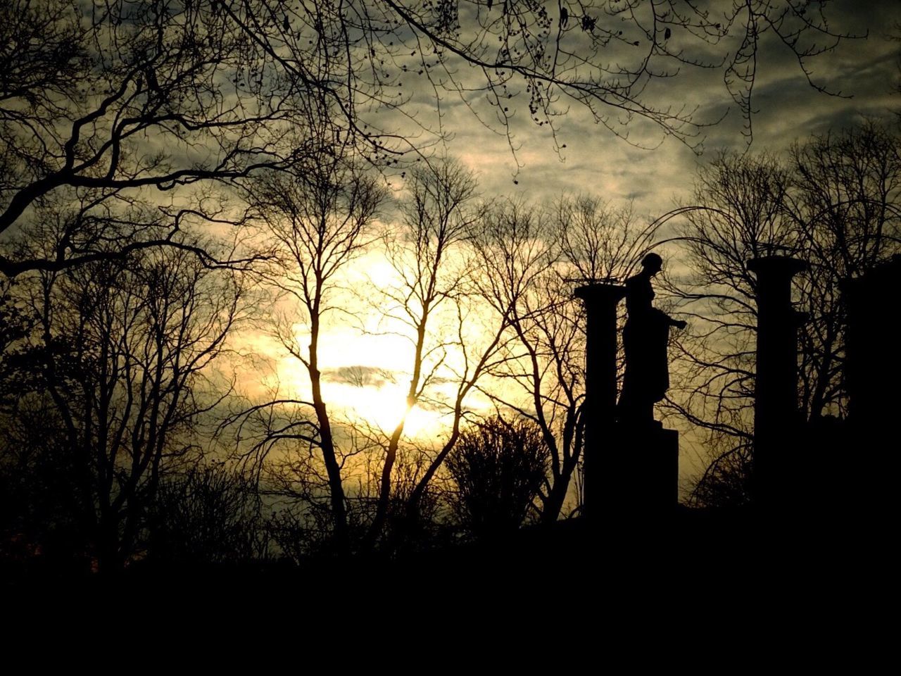 SILHOUETTE TREES AGAINST SUNSET SKY