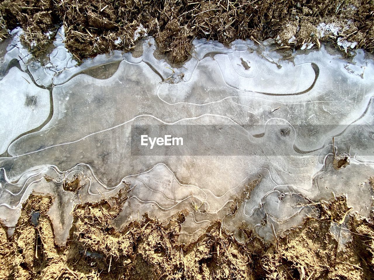 HIGH ANGLE VIEW OF WATER FLOWING THROUGH TREES