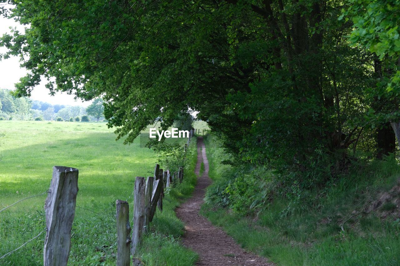 Wooden fence amidst trees on landscape