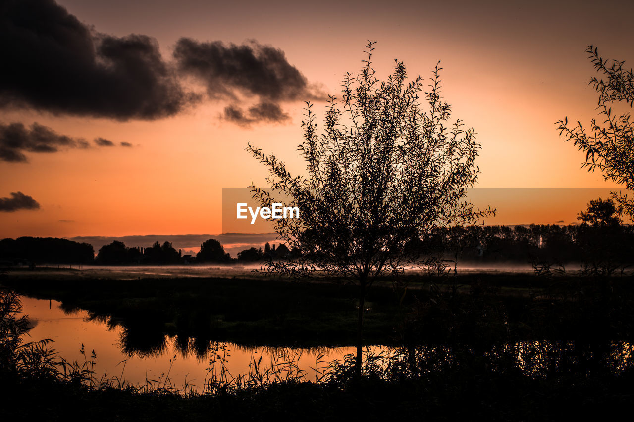 SILHOUETTE TREE BY LAKE AGAINST ROMANTIC SKY