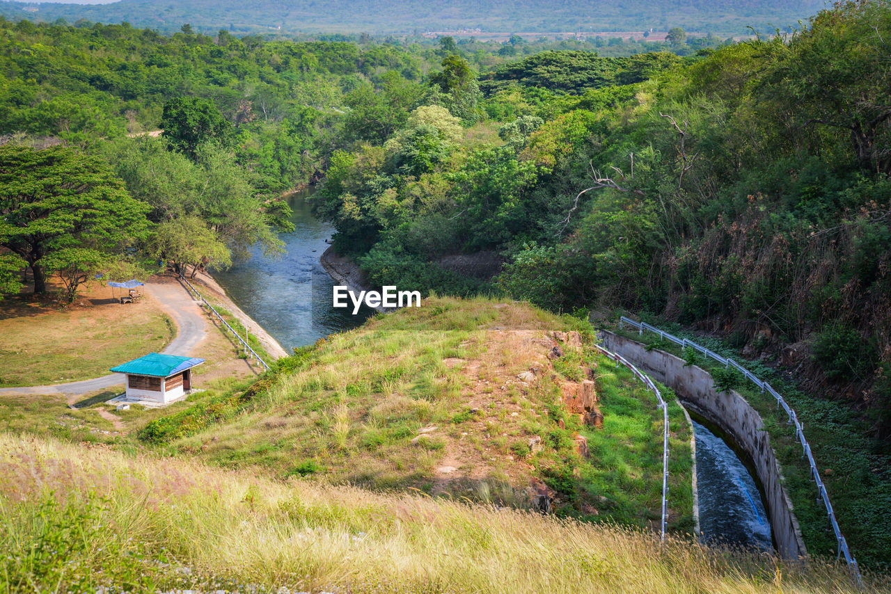 High angle view of river amidst trees in forest