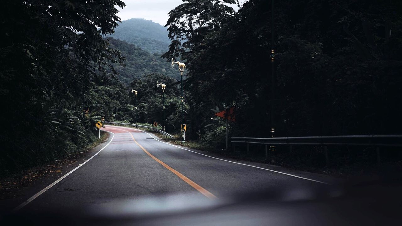 Diminishing perspective of road amidst trees seen through windshield