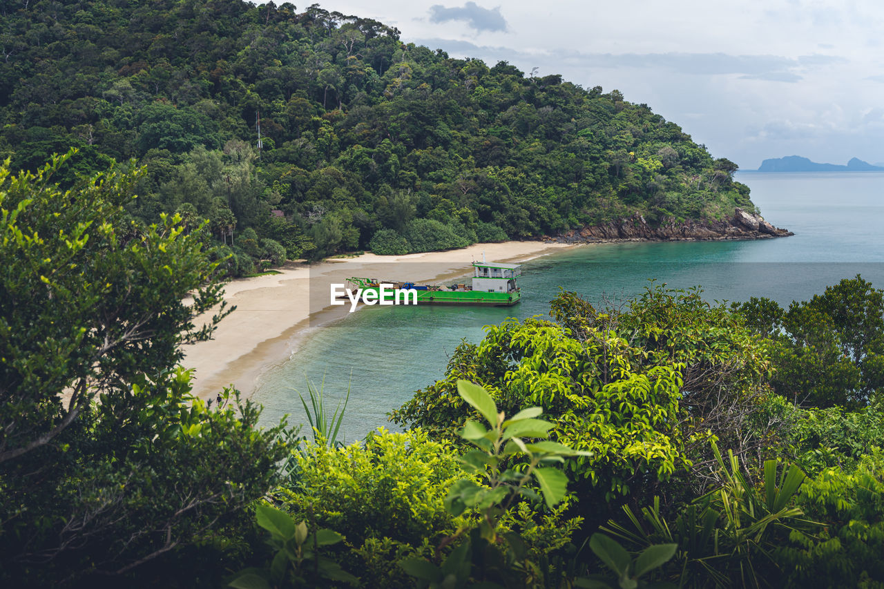 Scenic view of sea and trees against sky