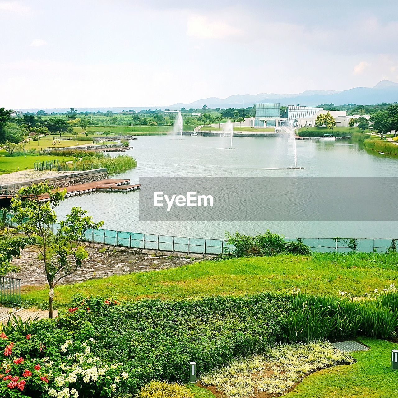 Scenic view of lake at park