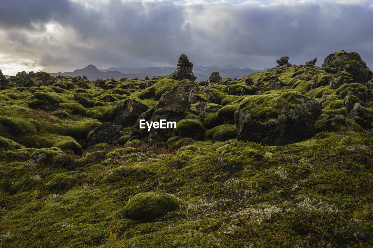 Scenic view of moss covered rocks on landscape against cloudy sky