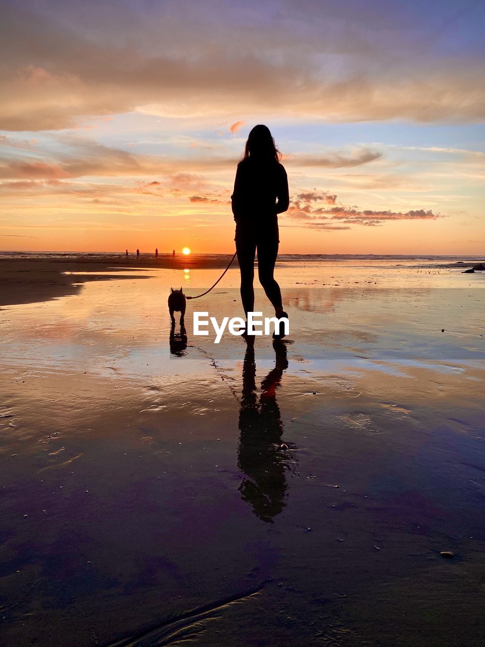 Silhouette woman with dog walking at beach against sky during sunset