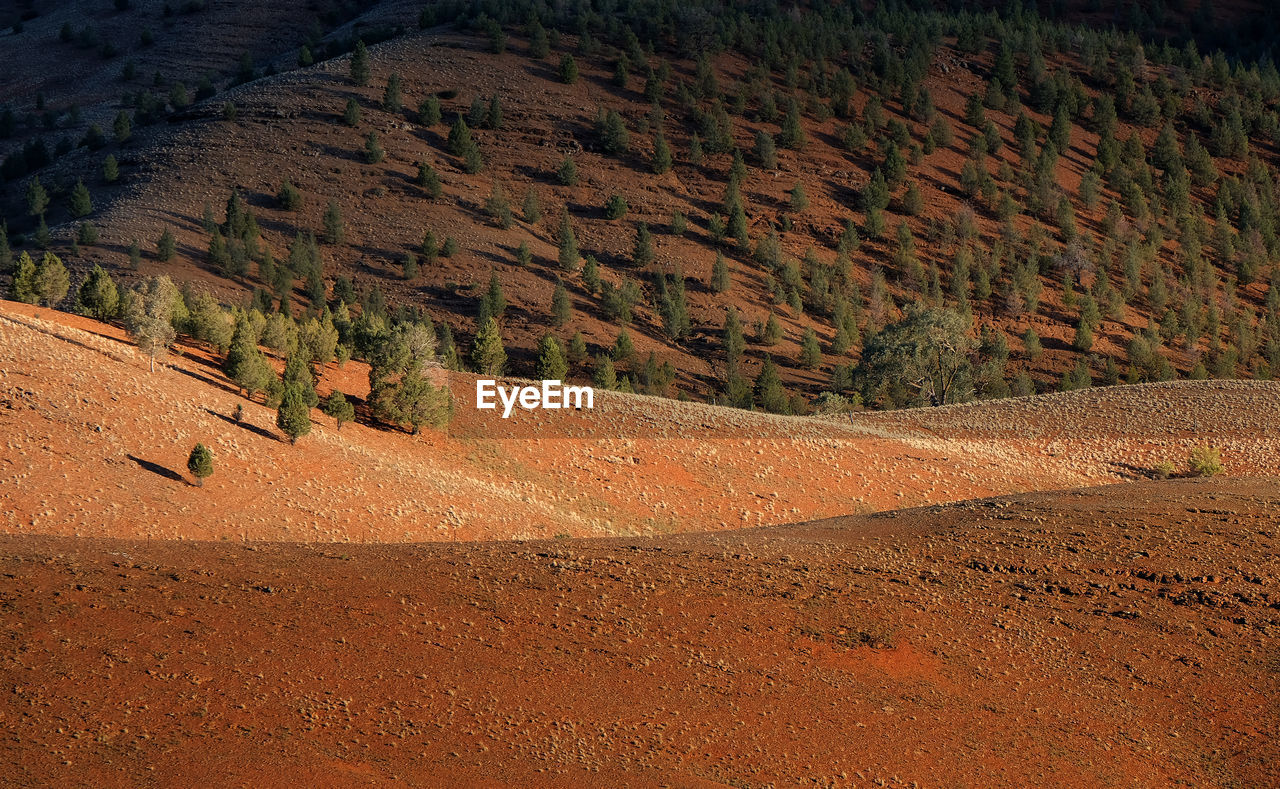 Aerial view of landscape 