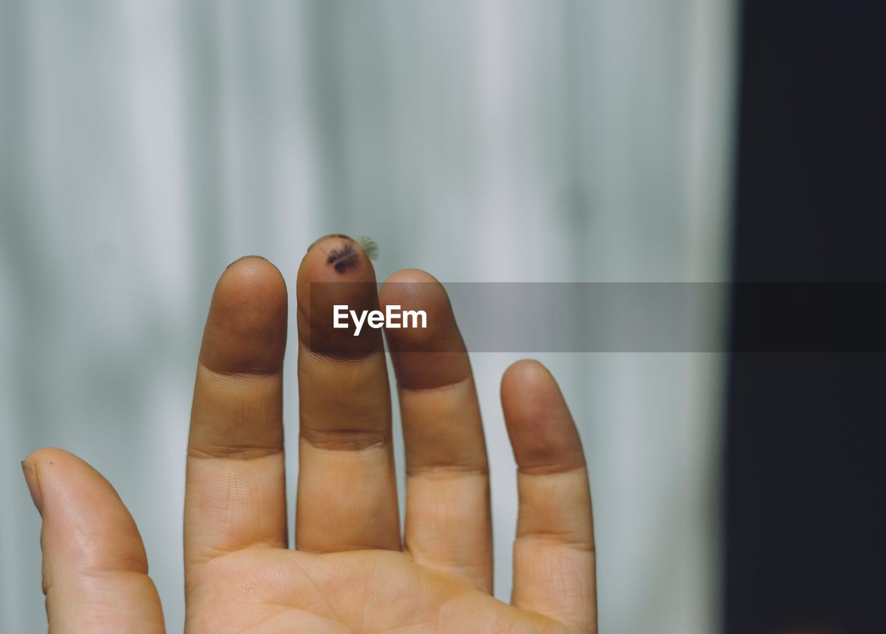 CLOSE-UP LOW SECTION OF HUMAN HAND ON GROUND