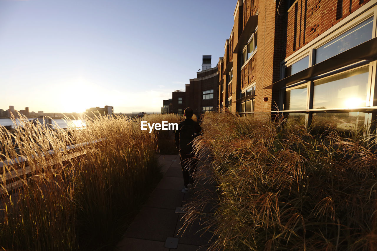 Footpath amidst buildings against sky