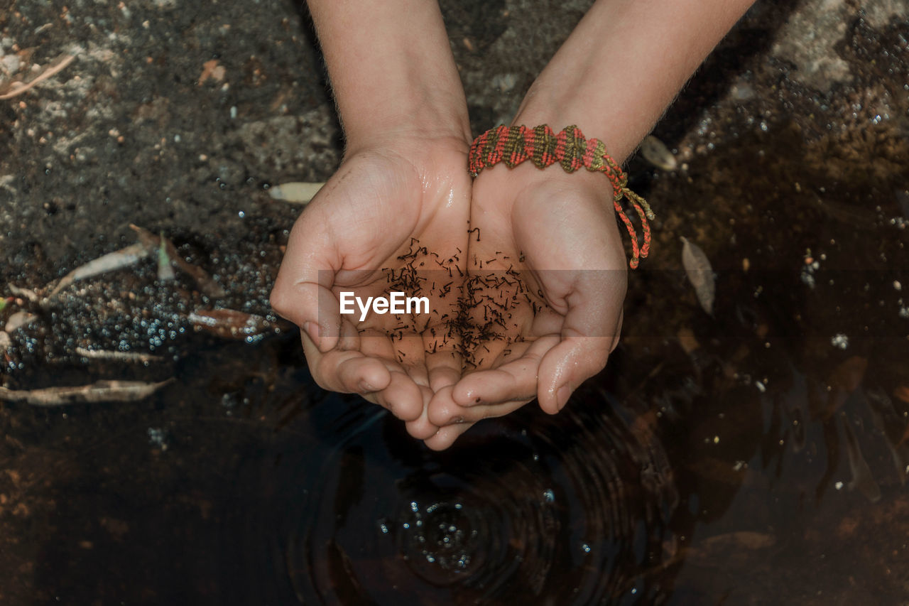 Cropped hands of person holding water