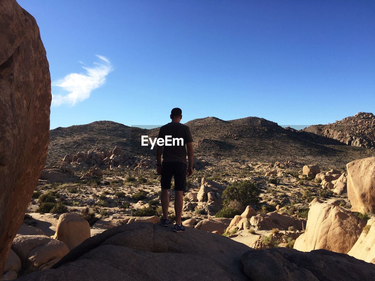 Rear view of man standing on rock against blue sky