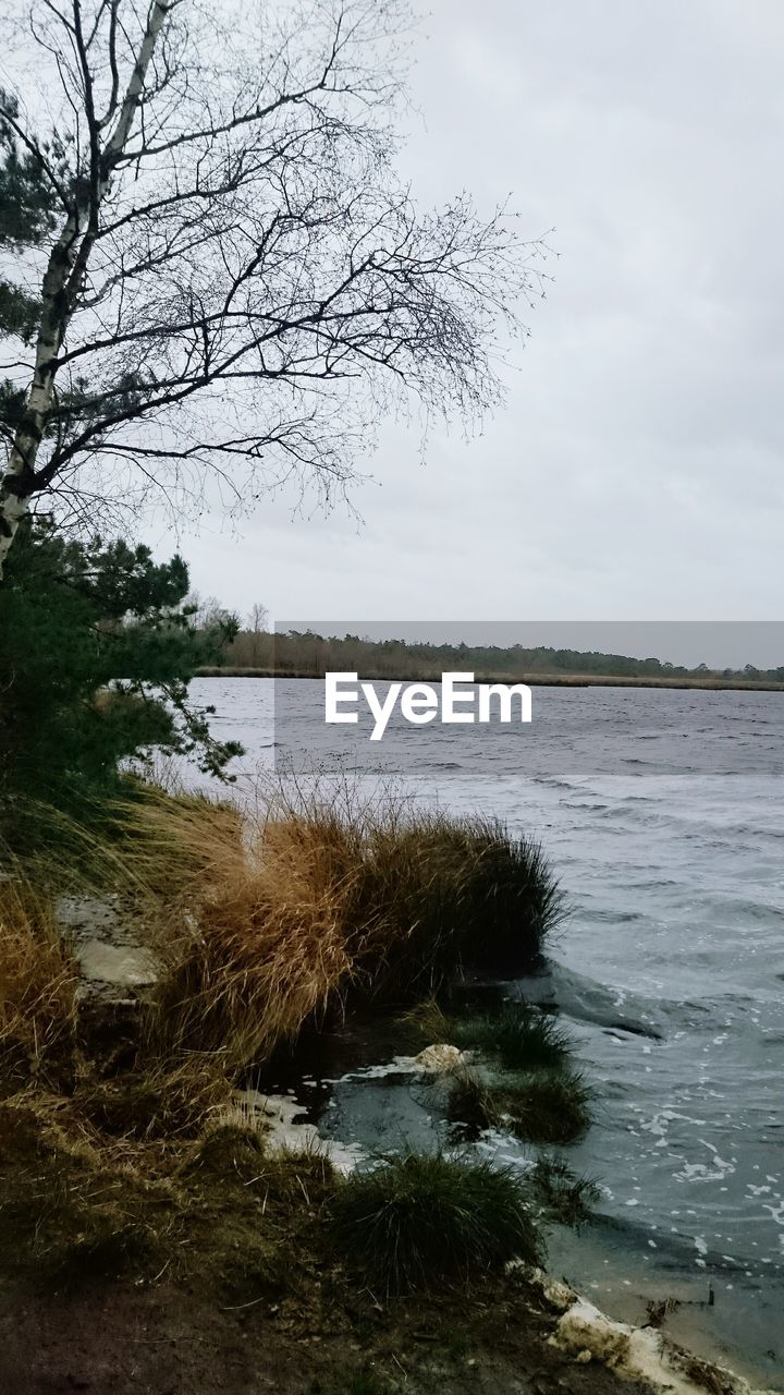 CALM LAKE WITH TREES IN BACKGROUND