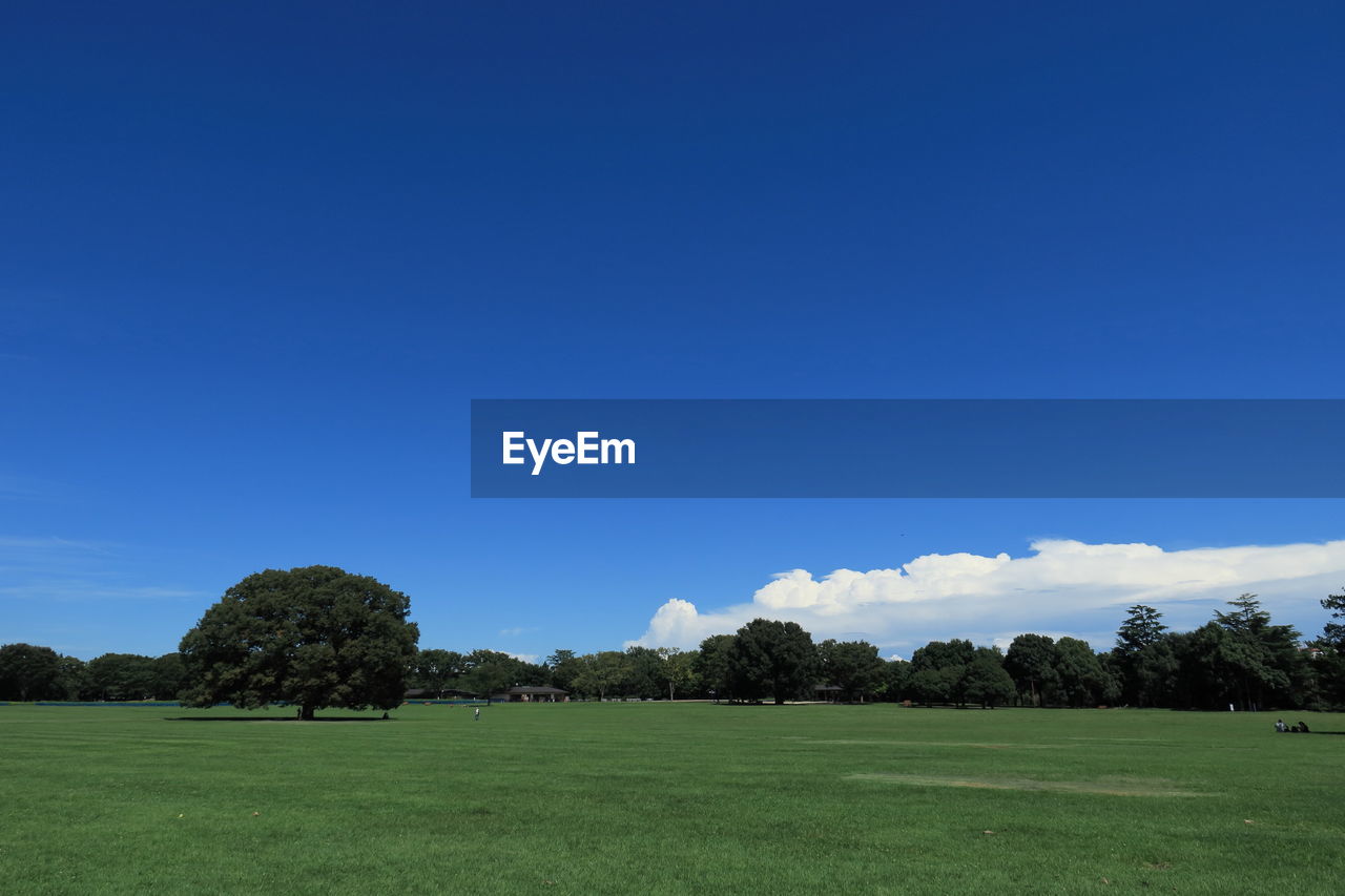 SCENIC VIEW OF LANDSCAPE AGAINST CLOUDY SKY