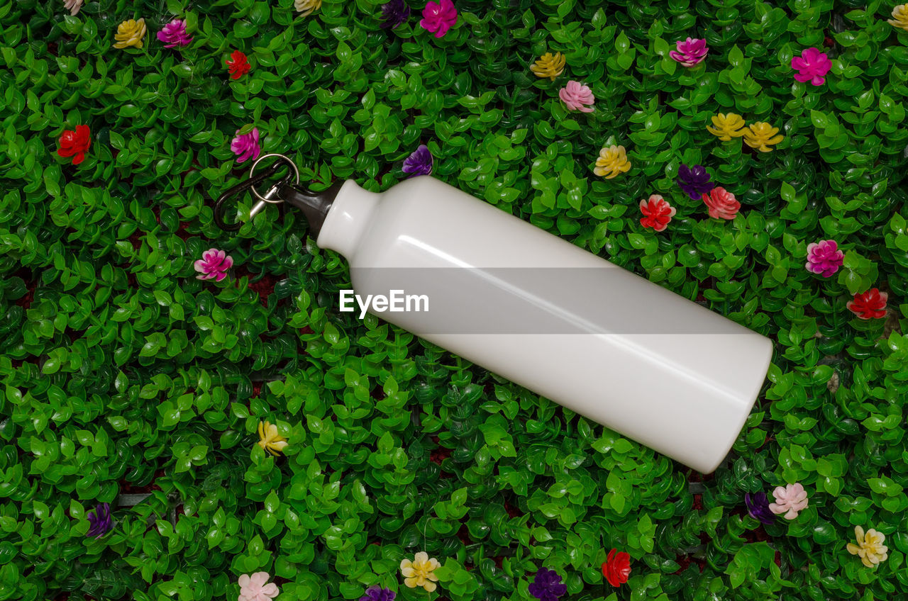 Metal water bottle on green grass