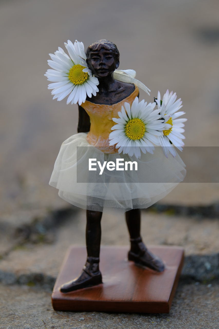 flower, flowering plant, plant, yellow, freshness, white, close-up, nature, spring, beauty in nature, flower head, fragility, petal, macro photography, daisy, inflorescence, focus on foreground, outdoors, blossom, no people, day, pollen, bouquet, growth