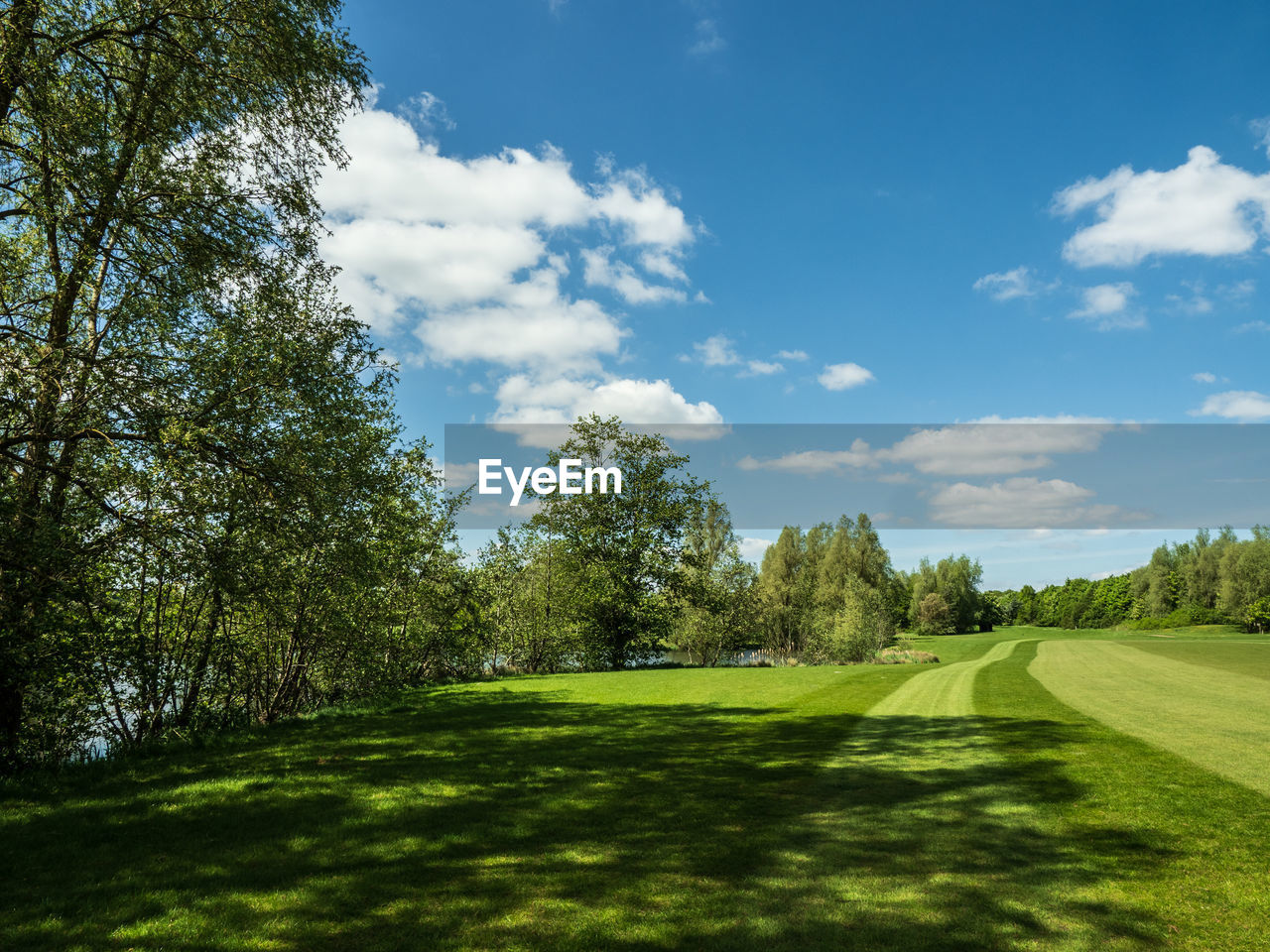 Empty golf course 