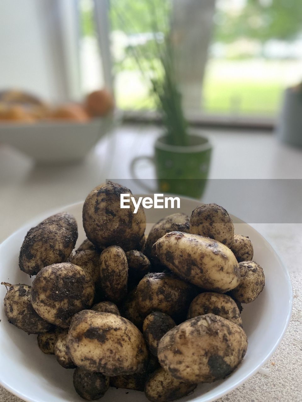 food, food and drink, freshness, produce, indoors, healthy eating, wellbeing, vegetable, no people, table, edible mushroom, plant, still life, plate, focus on foreground, organic, close-up, nature, day, large group of objects, abundance