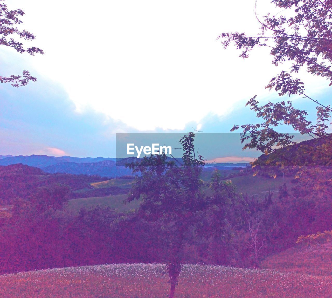 SCENIC VIEW OF FIELD AND MOUNTAINS AGAINST SKY