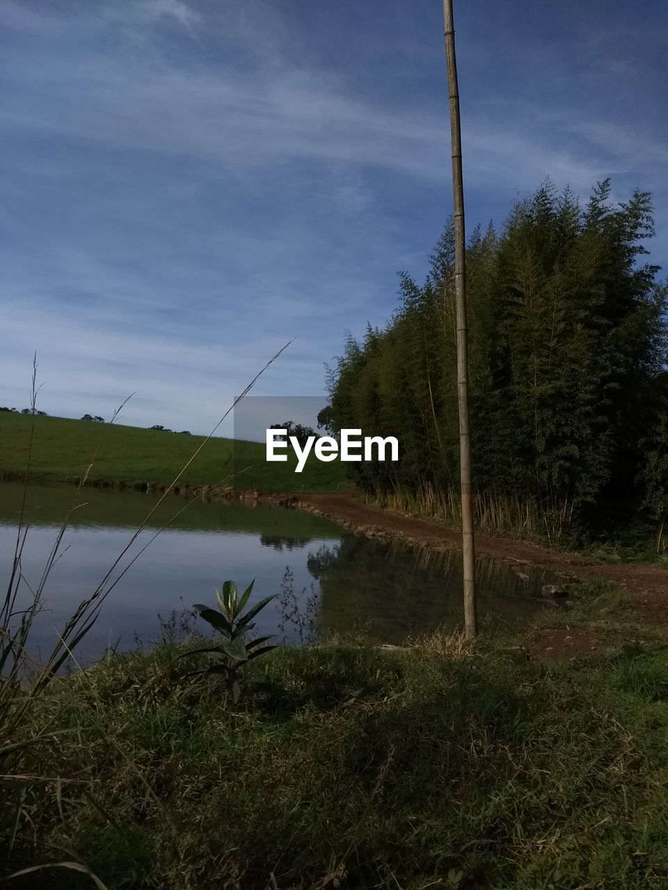 SCENIC VIEW OF LAKE AMIDST TREES AGAINST SKY