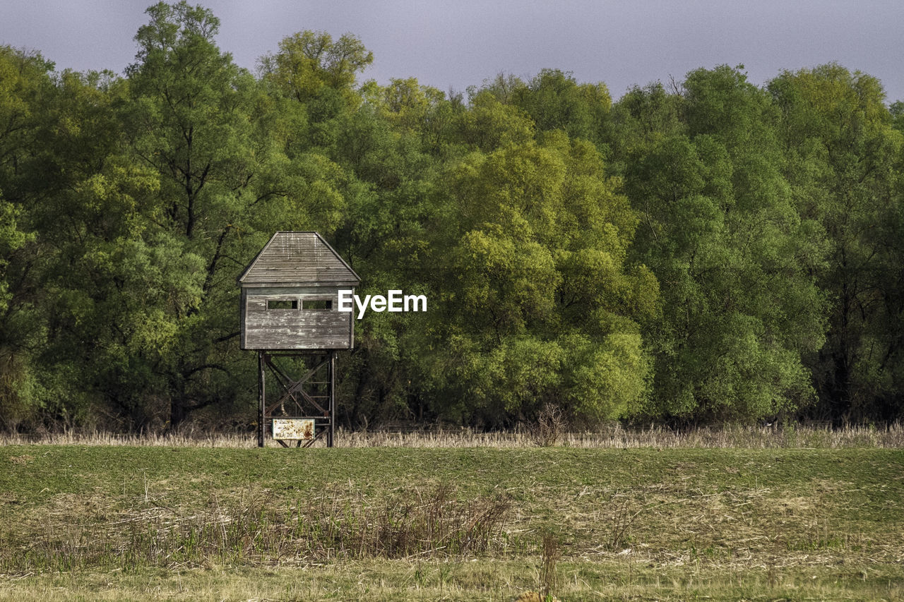 TREES GROWING ON FIELD