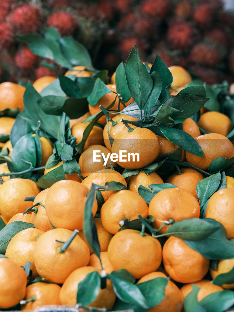 food, food and drink, healthy eating, fruit, freshness, wellbeing, leaf, plant part, plant, produce, nature, citrus, orange color, abundance, no people, citrus fruit, tangerine, agriculture, large group of objects, autumn, organic, vegetable, outdoors, orange, market, clementine, close-up, business finance and industry, flower, retail