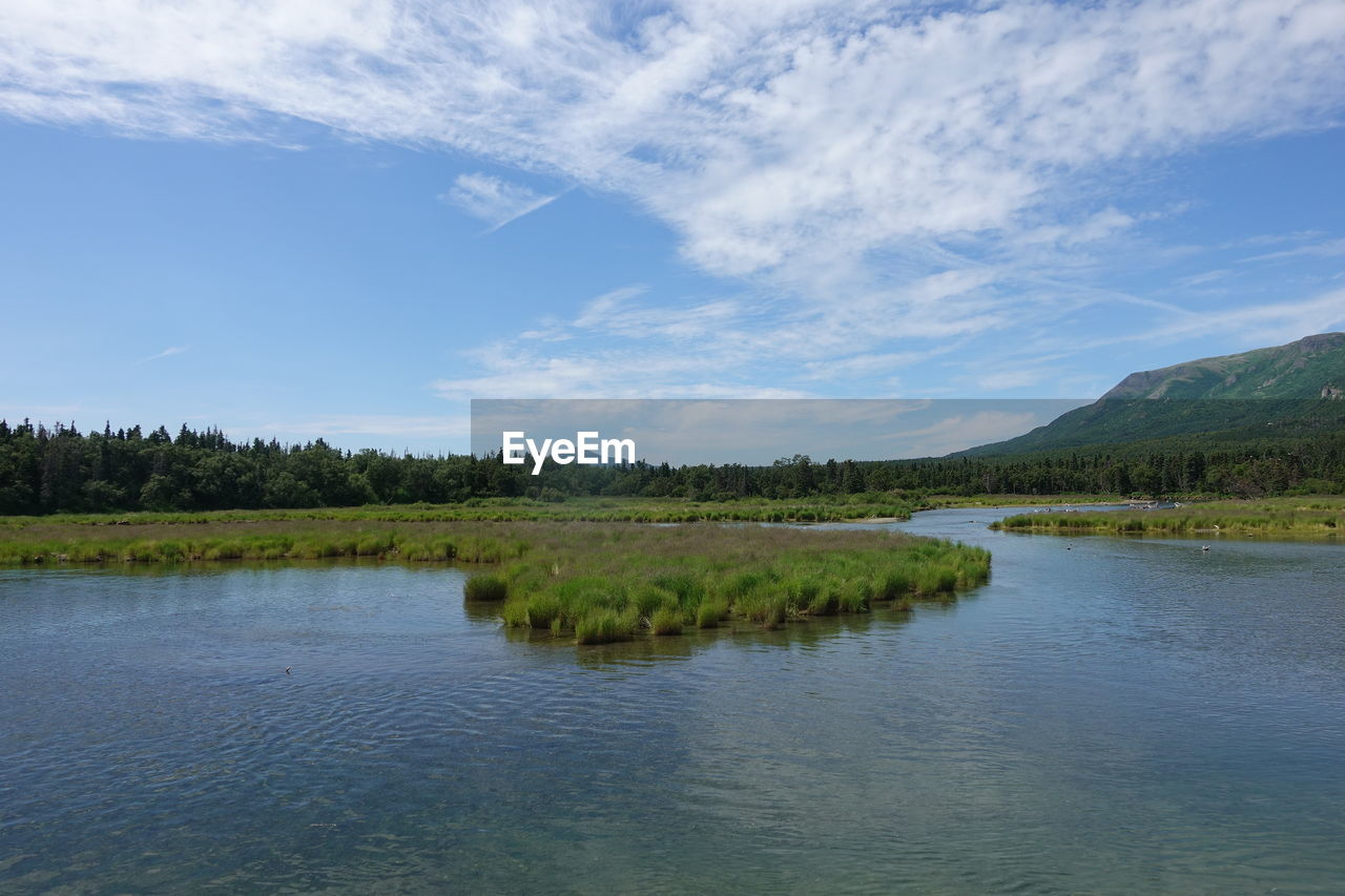 SCENIC VIEW OF LAKE AMIDST TREES AGAINST SKY