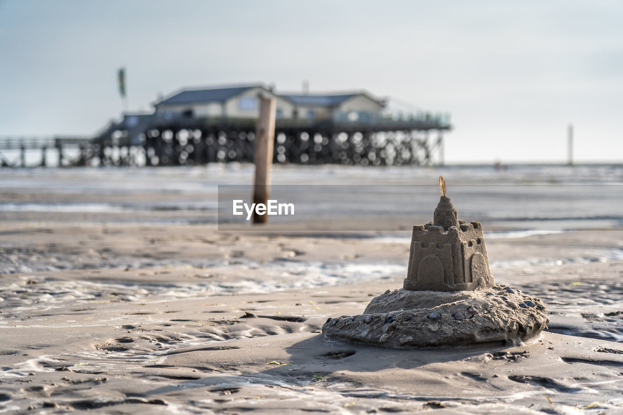 Close-up of driftwood on beach against sky