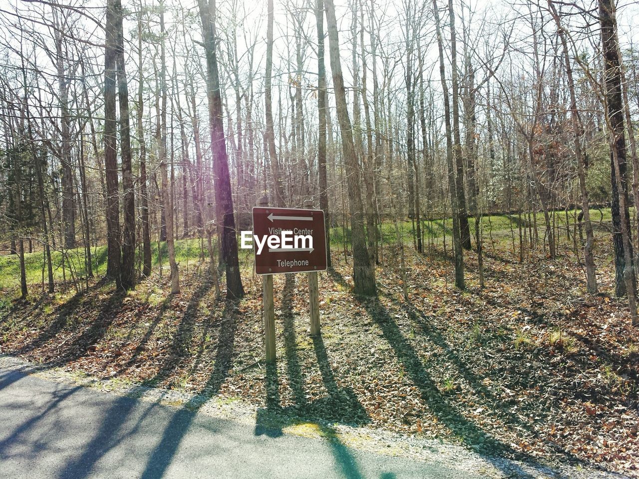 Information sign amidst road and trees on sunny day