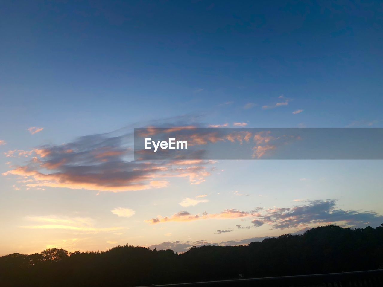 SCENIC VIEW OF SILHOUETTE TREES AGAINST SKY DURING SUNSET