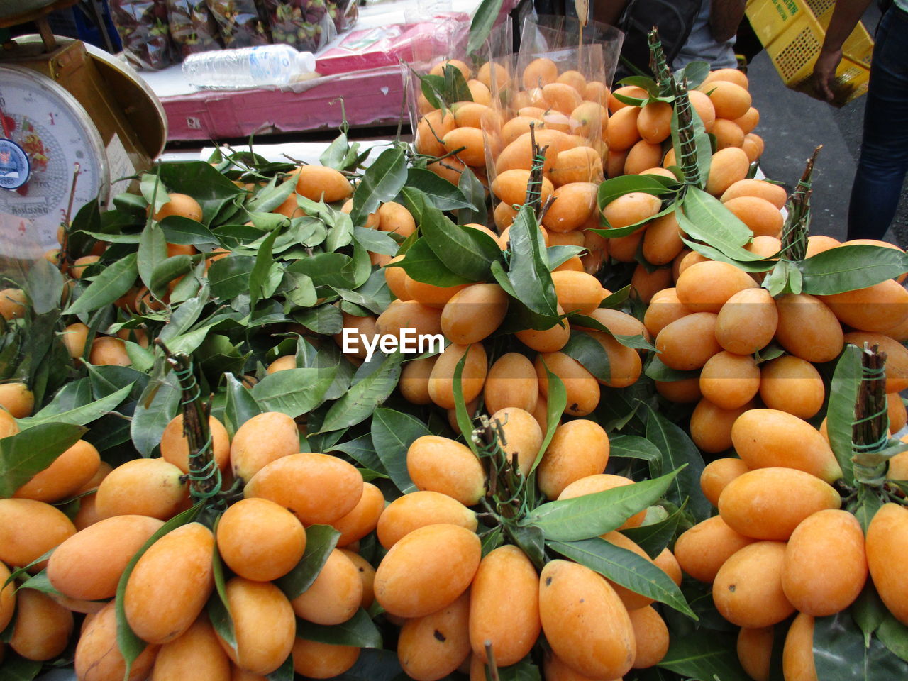 PUMPKINS IN MARKET STALL