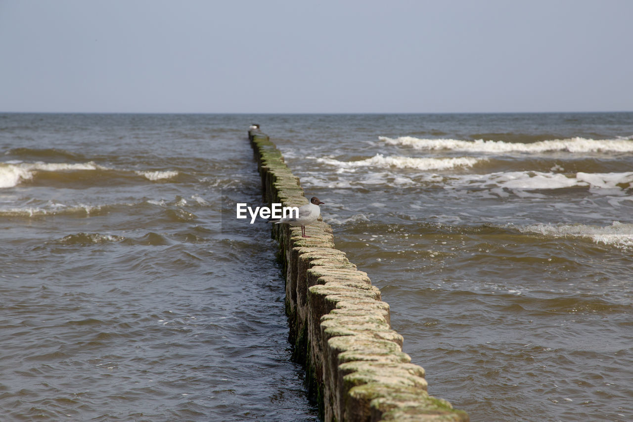 WOODEN POSTS ON BEACH AGAINST CLEAR SKY