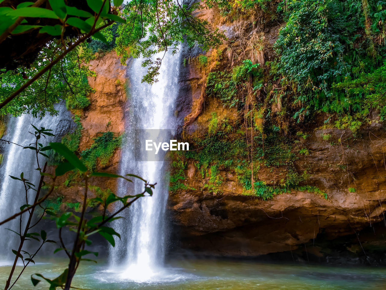 SCENIC VIEW OF WATERFALL AGAINST TREES