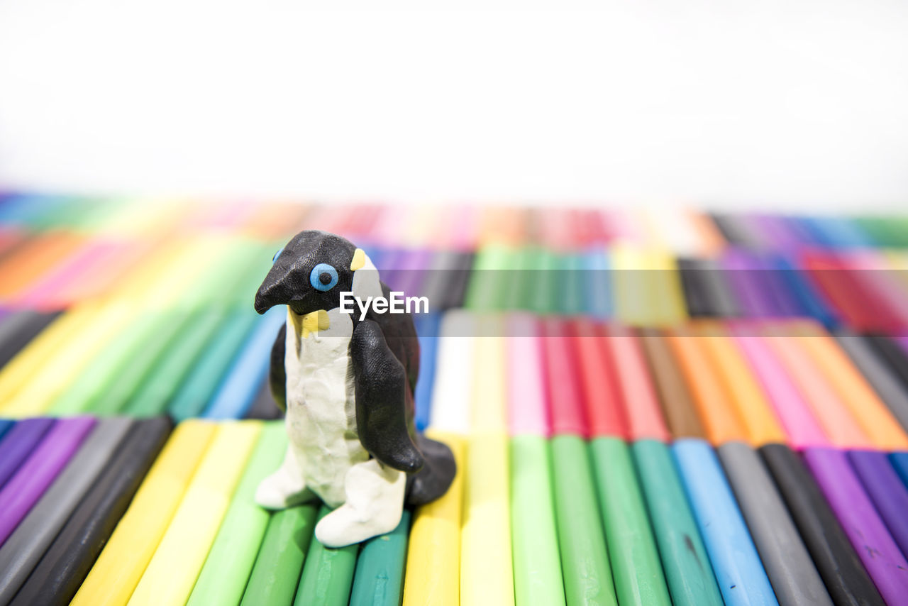 CLOSE-UP OF DUCK ON TABLE