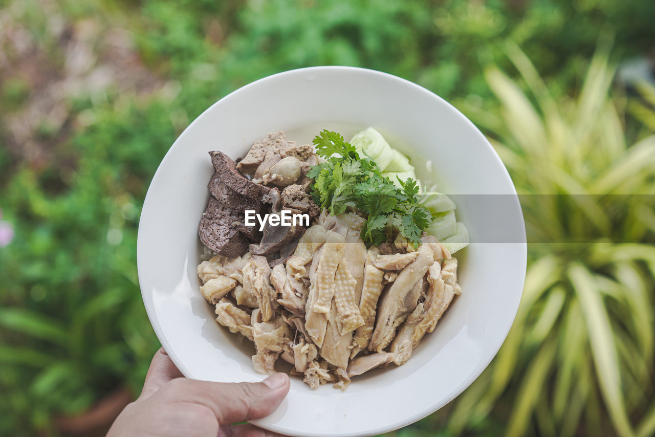 food and drink, food, hand, healthy eating, dish, holding, plant, wellbeing, one person, vegetable, meal, freshness, lifestyles, produce, nature, bowl, focus on foreground, adult, herb, cuisine, close-up, day, organic, high angle view, outdoors, personal perspective